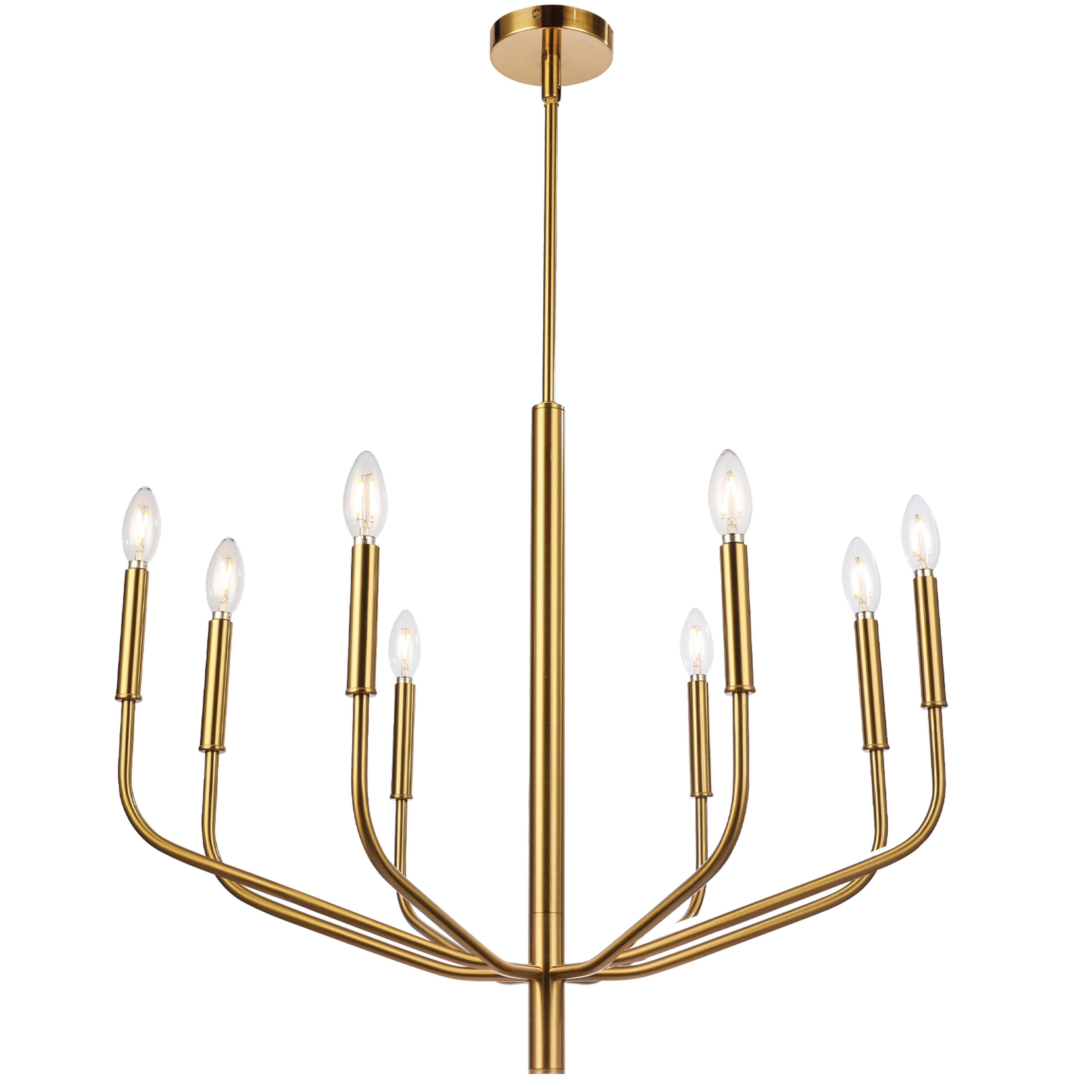 ELEANOR Chandelier Gold - ELN-328C-AGB | DAINOLITE