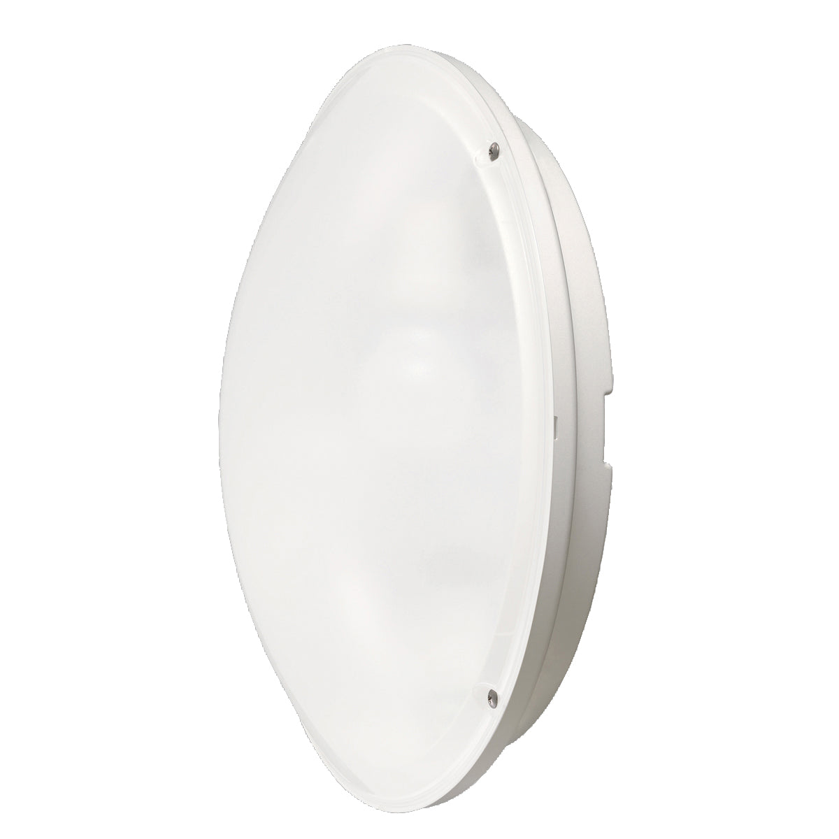 MITO Outdoor sconce Glass - 23910-010 | EUROFASE