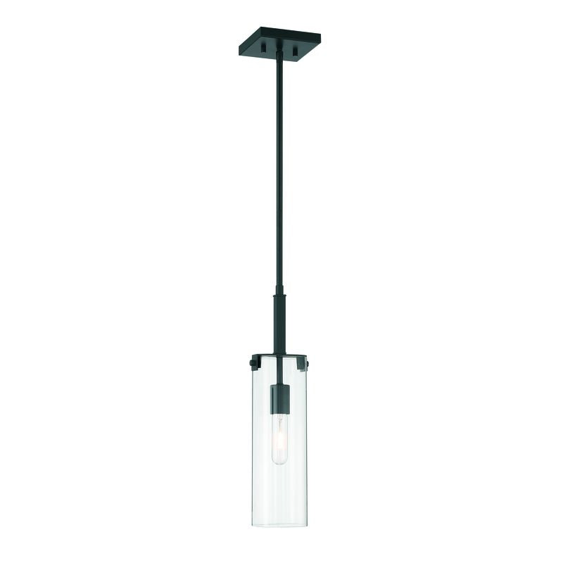 WINFIELD Suspension simple Noir - 7-9770-1-89 | SAVOYS