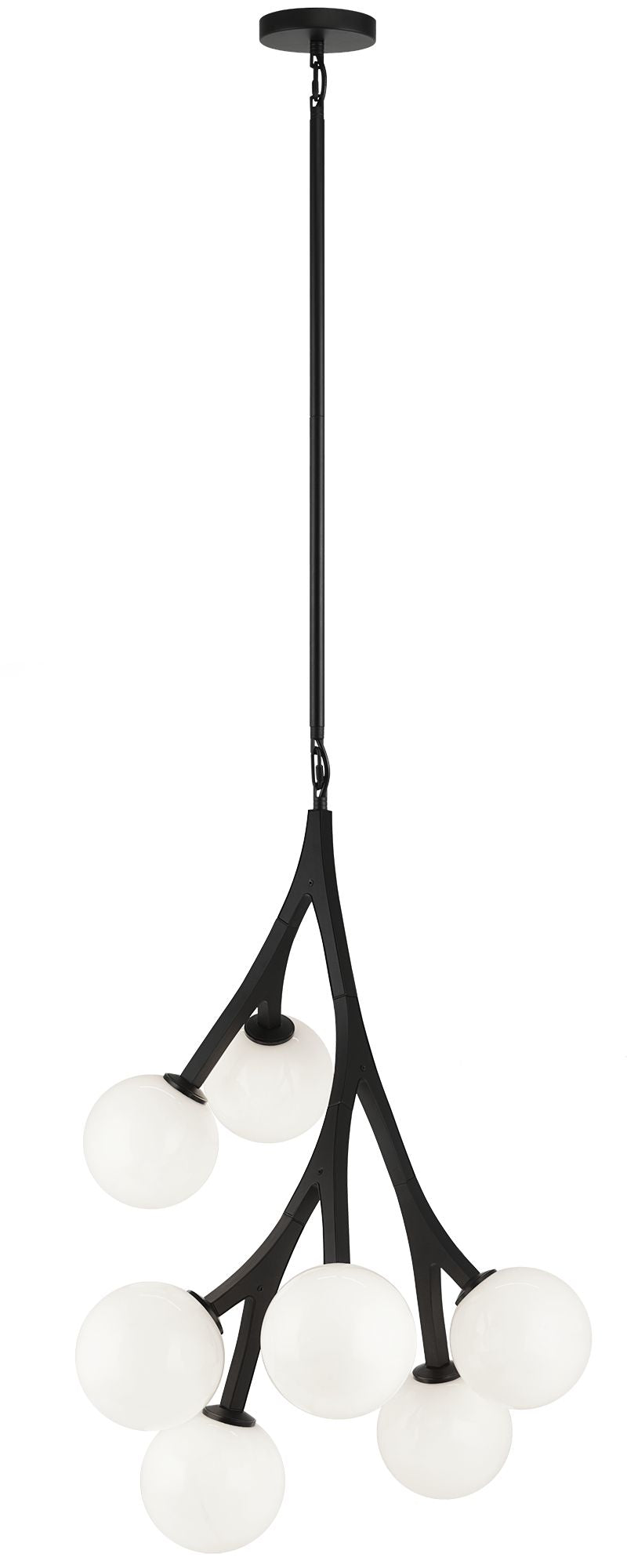 RAMI Chandelier Black - C81507BKOP | TEO